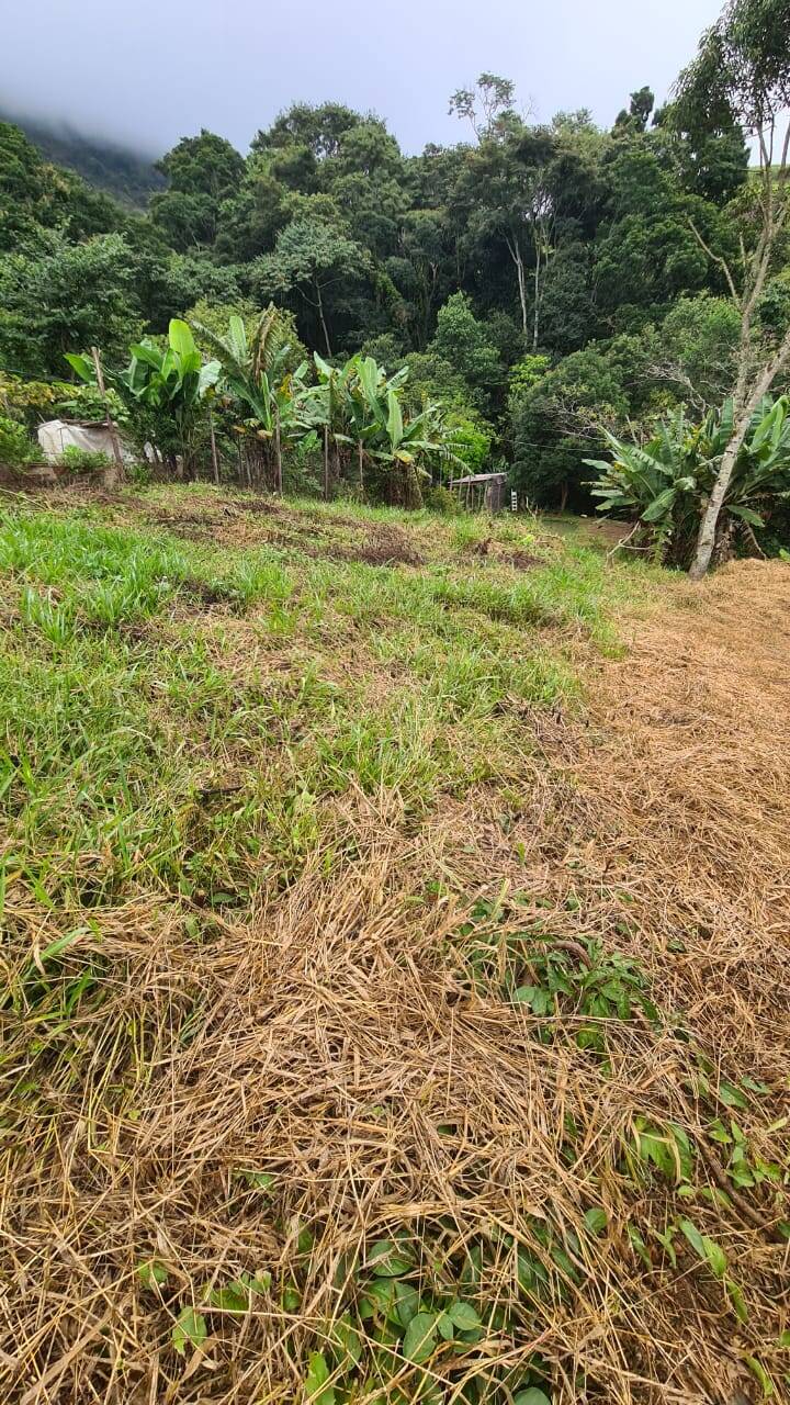 Terreno, 1000 m² - Foto 6