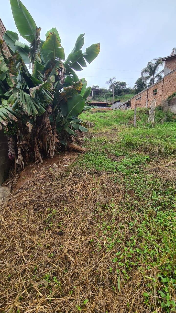 Terreno, 1000 m² - Foto 7