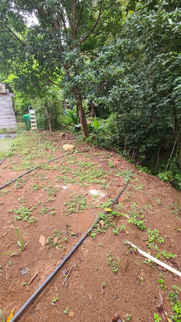 Terreno, 1000 m² - Foto 16