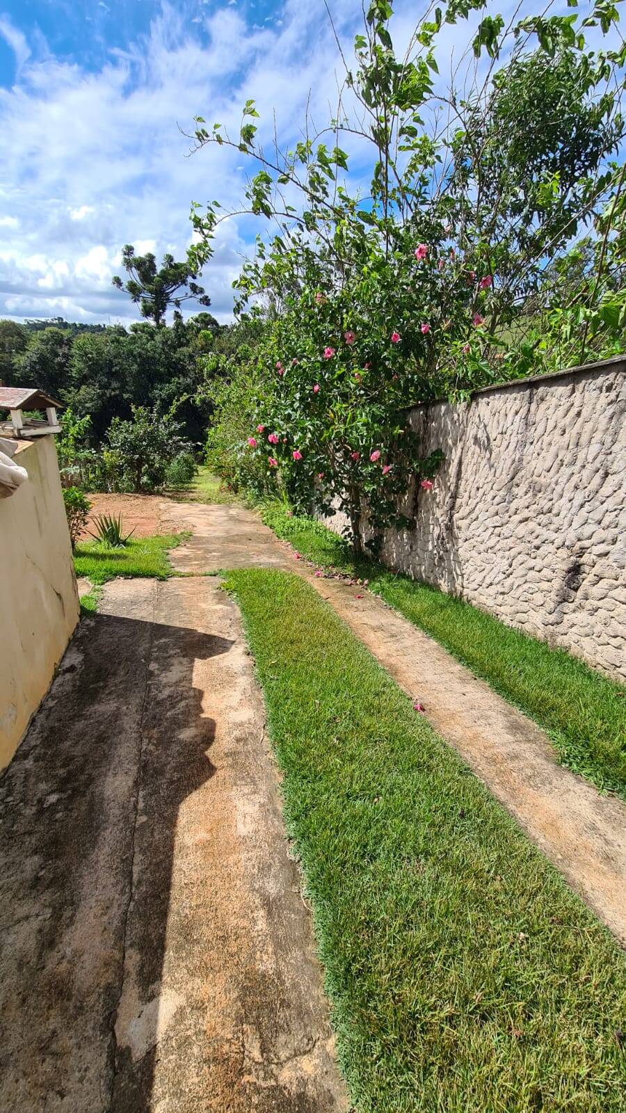 Sítio, 2 quartos, 1594 m² - Foto 19