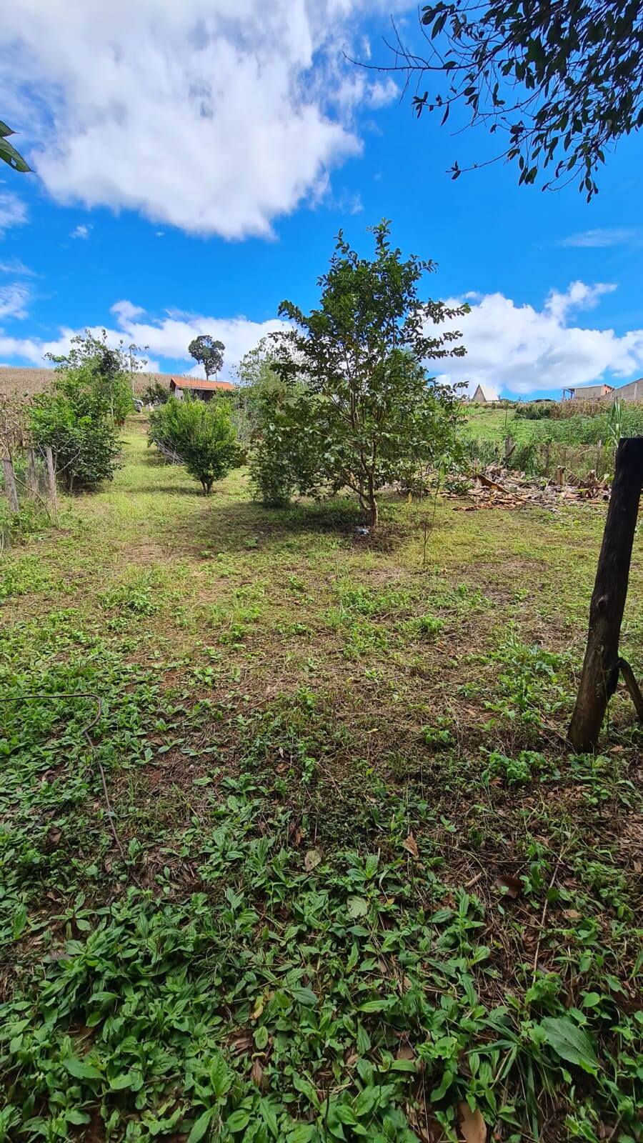 Sítio, 2 quartos, 1594 m² - Foto 30