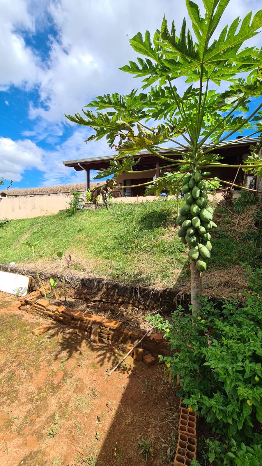 Sítio, 2 quartos, 1594 m² - Foto 33
