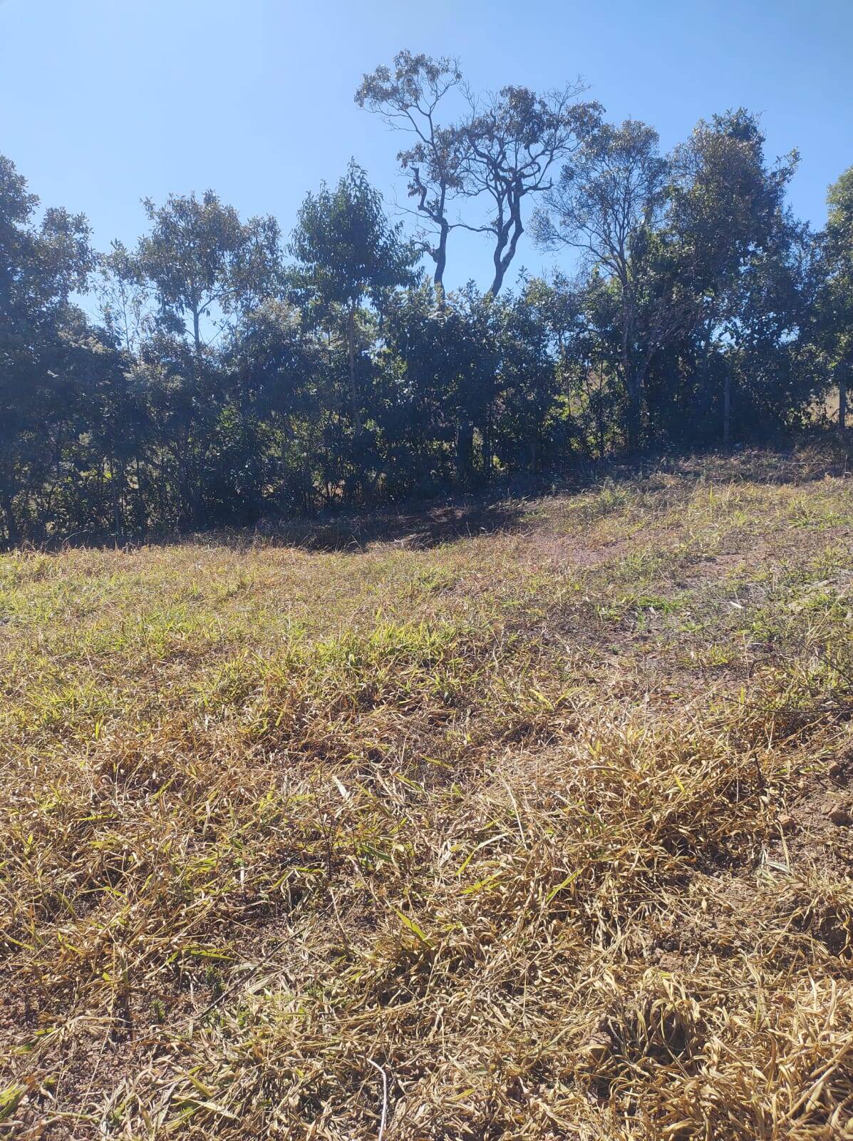 Terreno, 1600 m² - Foto 4