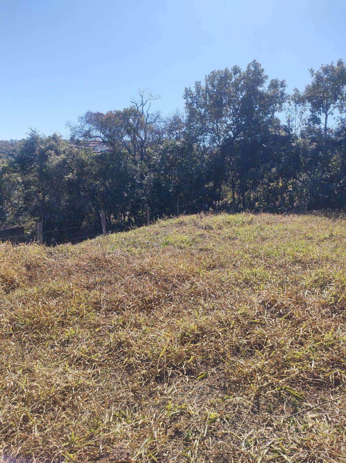 Terreno, 1600 m² - Foto 6