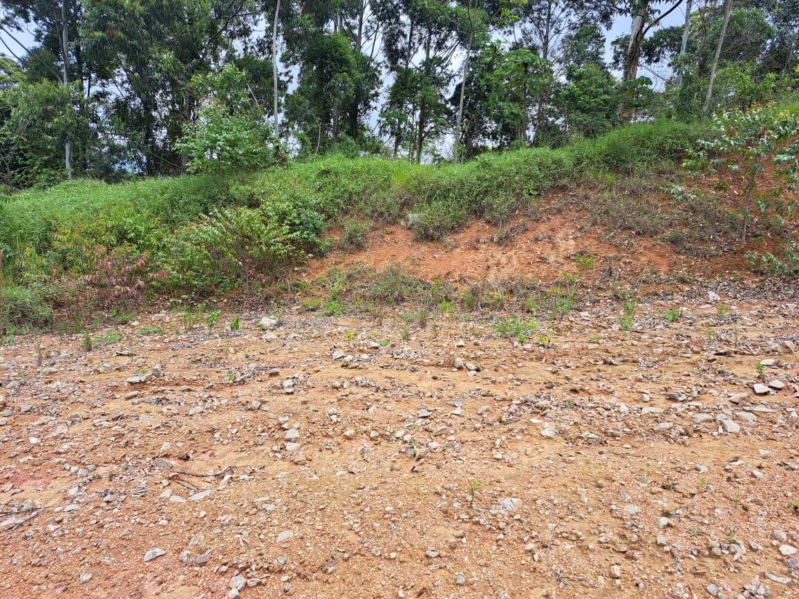 Terreno, 213 m² - Foto 2