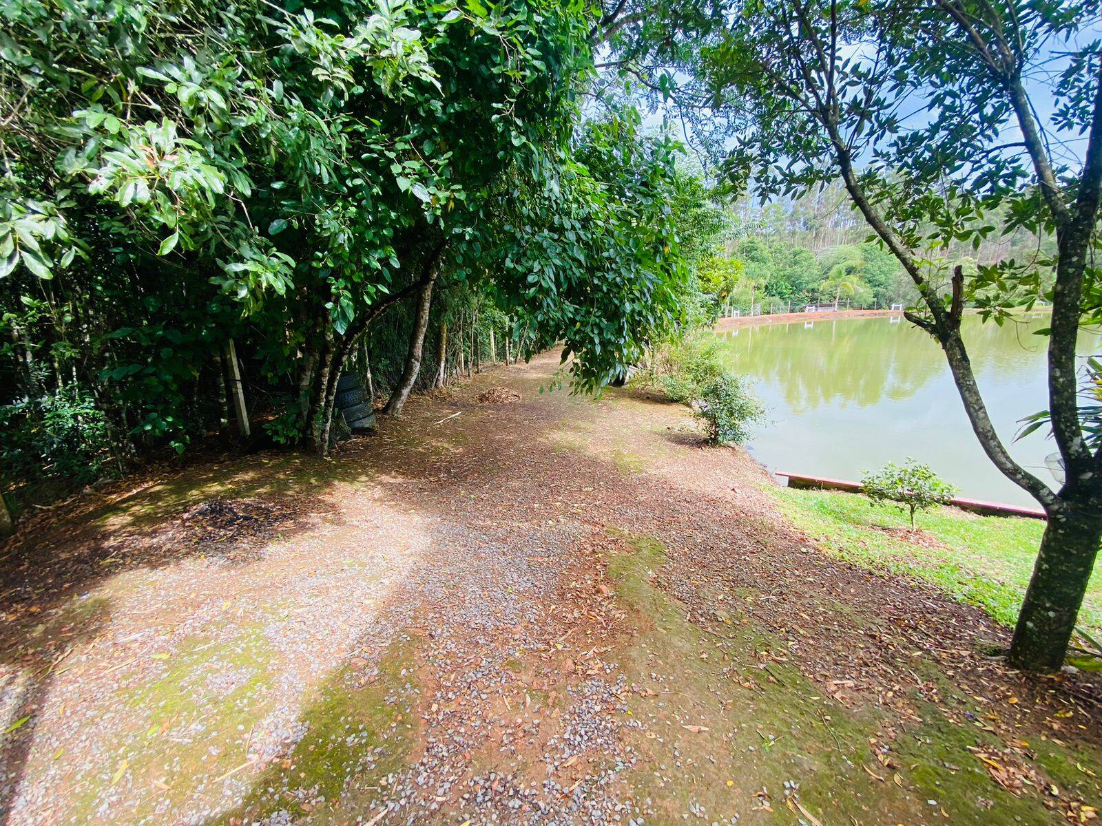 Terreno, 2 hectares - Foto 7