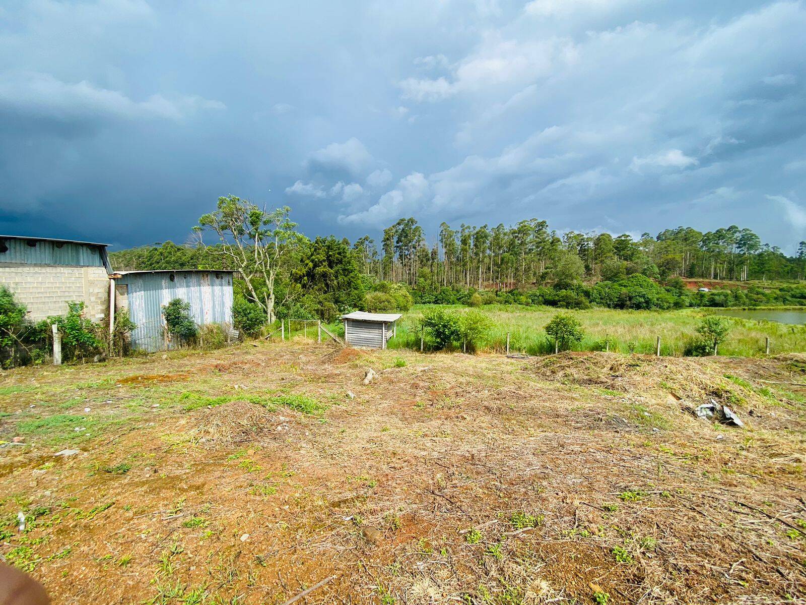 Terreno, 2 hectares - Foto 17