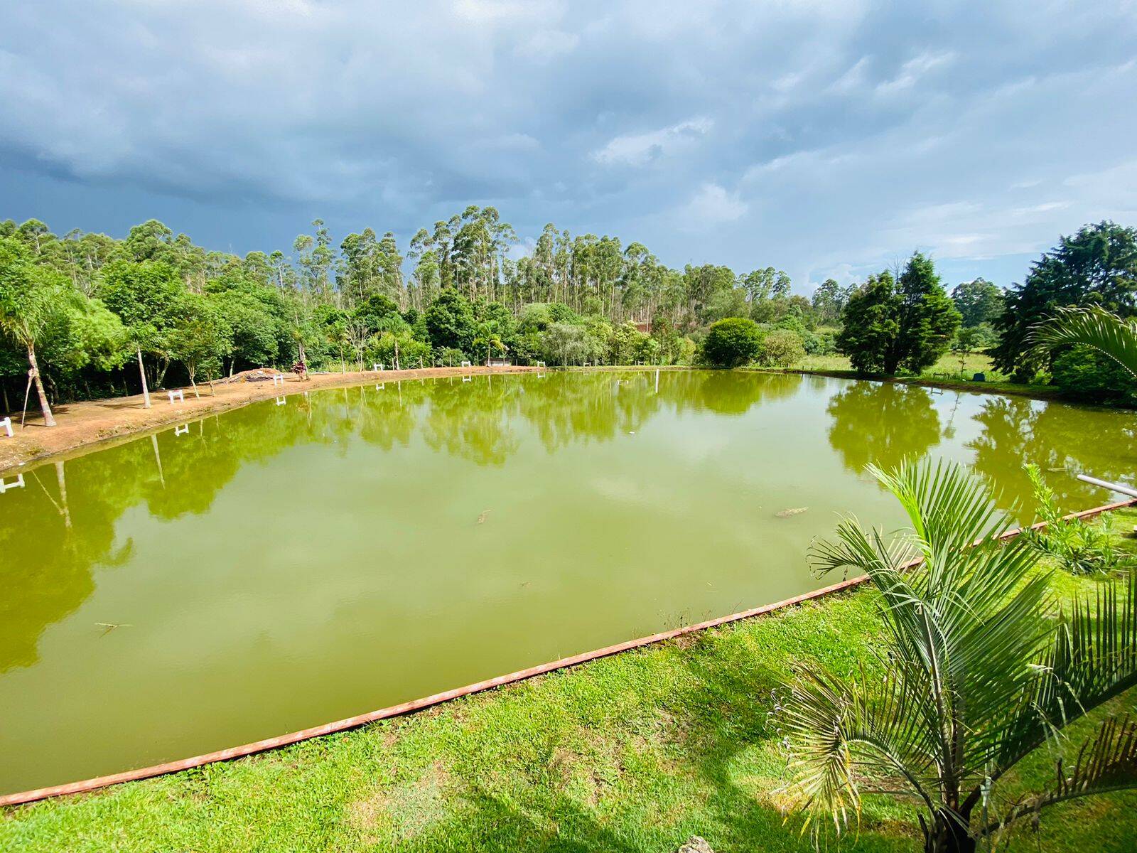 Terreno, 2 hectares - Foto 11