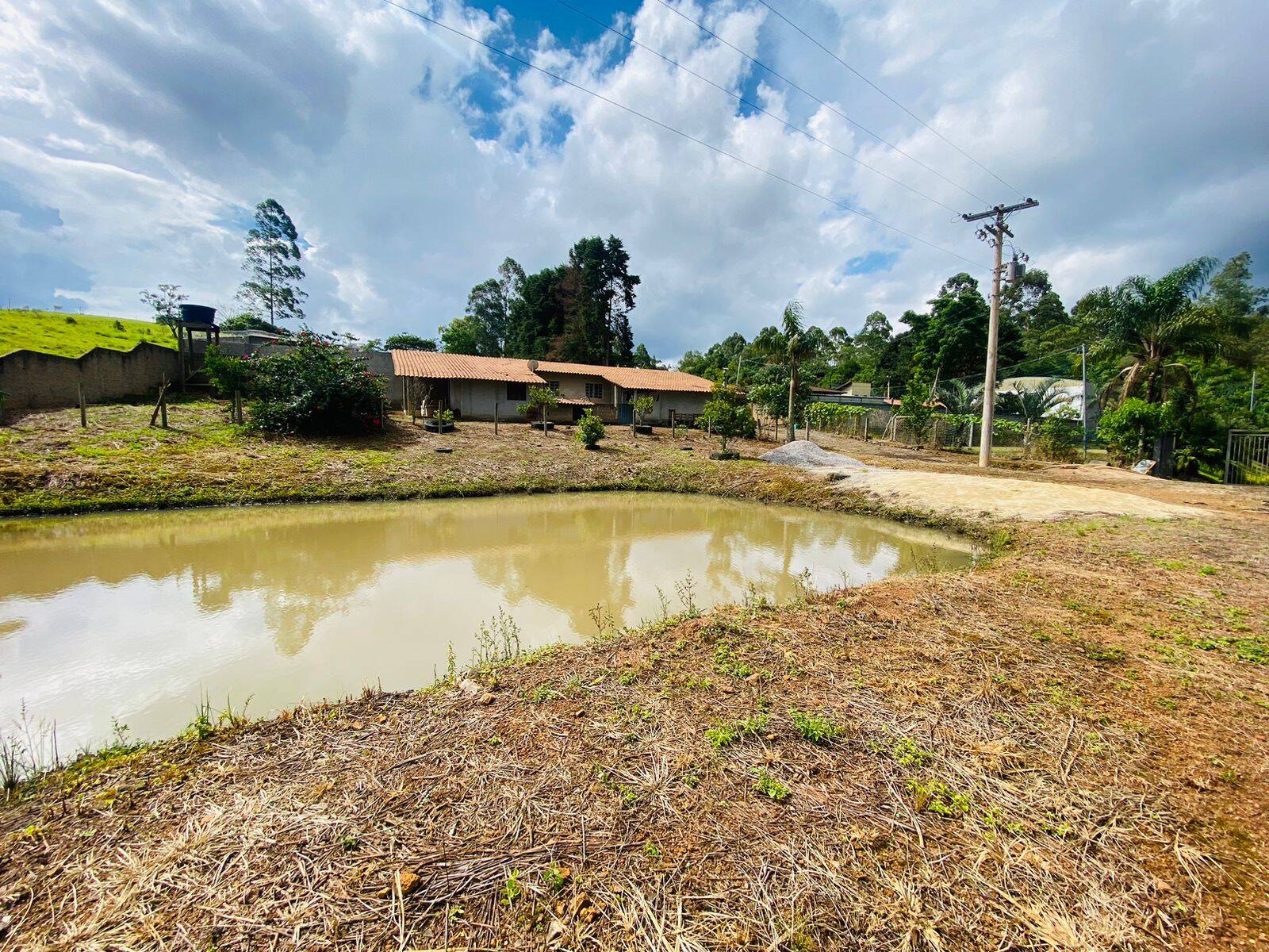 Terreno, 2 hectares - Foto 13