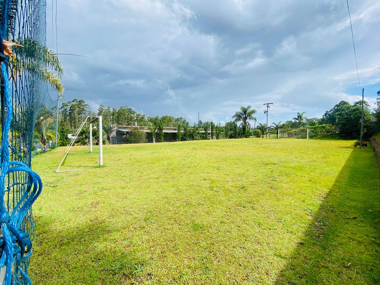 Terreno, 2 hectares - Foto 18