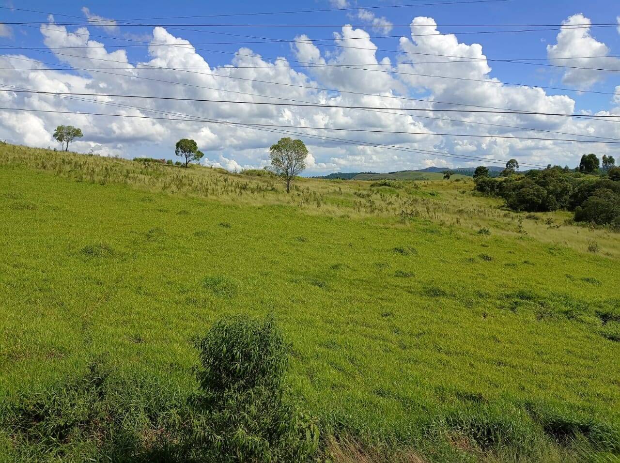 Apartamento, 2 quartos, 60 m² - Foto 8