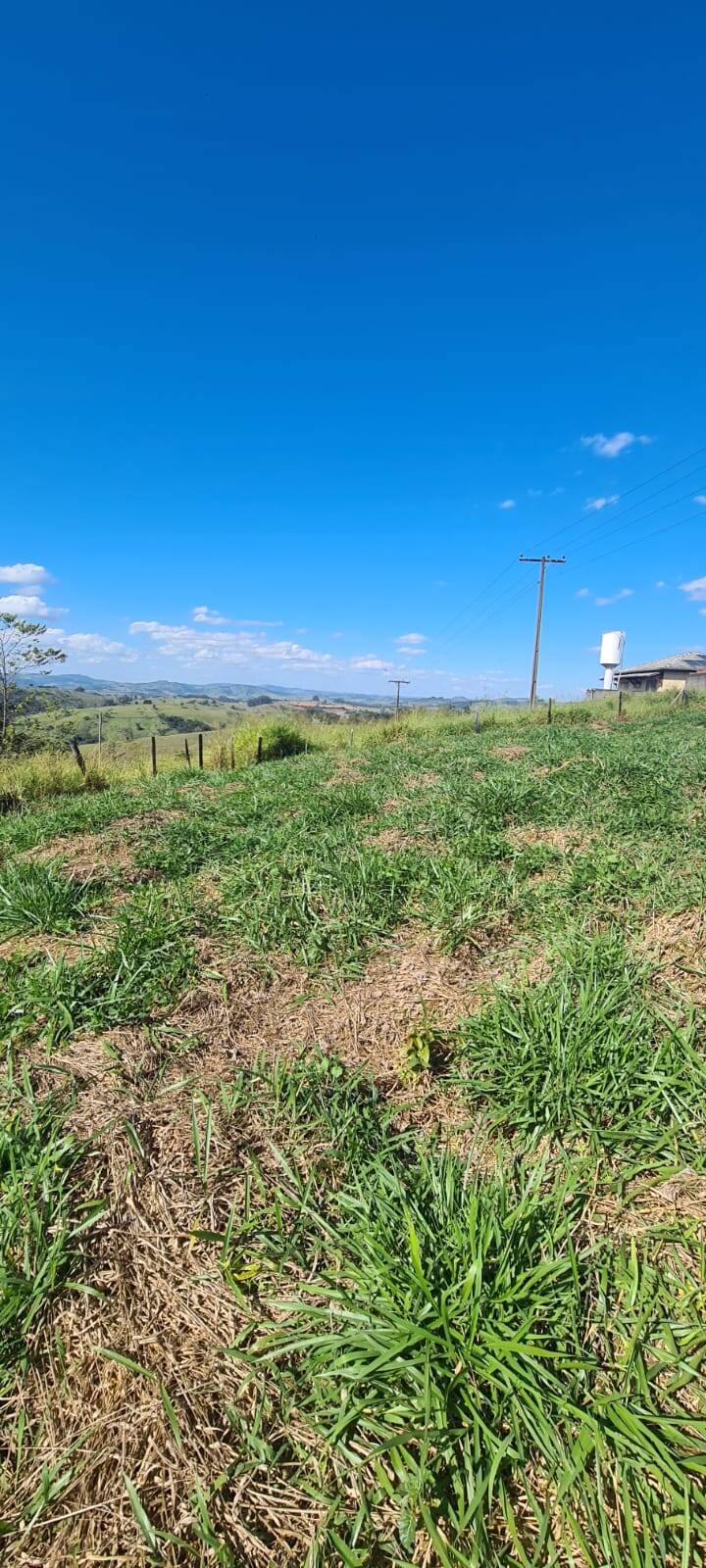 #990 - Chácara para Venda em Caldas - MG