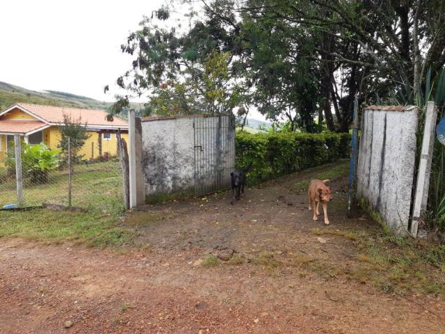 Chácara para Venda em Caldas - 4