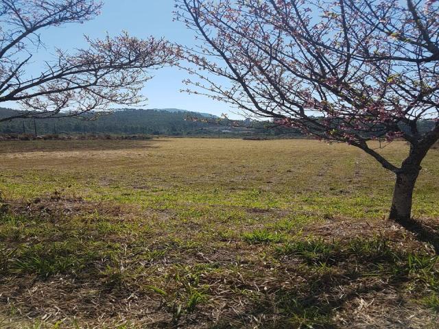 Terreno para Venda em Poços de Caldas - 5