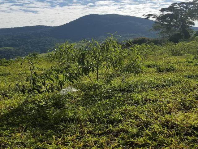 Terreno para Venda em Caldas - 4