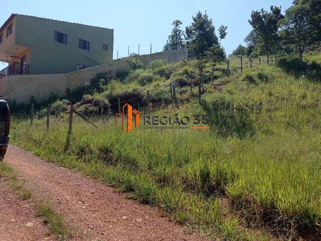 #616 - Área para Venda em Caldas - MG - 3