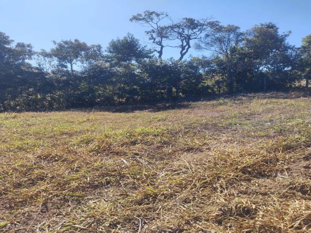 Terreno para Venda em Poços de Caldas - 4